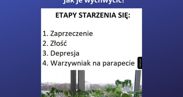 Jak odróżnić humor od ageizmu