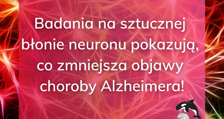 Sztuczna błona neuronu i cząsteczka K162  – nowa nadzieja na wyleczenie choroby Alzheimera