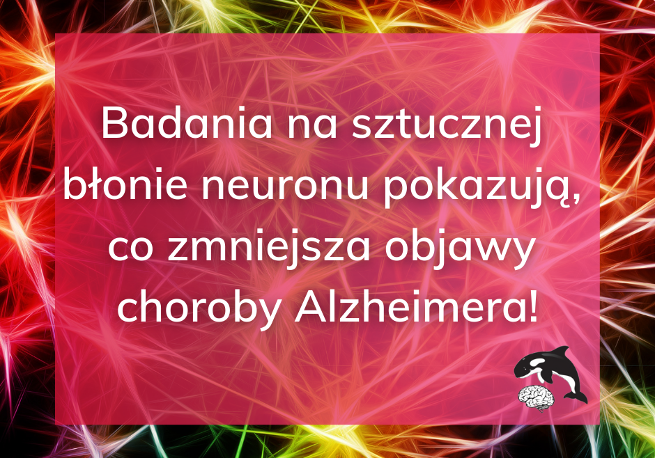 Sztuczna błona neuronu i cząsteczka K162  – nowa nadzieja na wyleczenie choroby Alzheimera