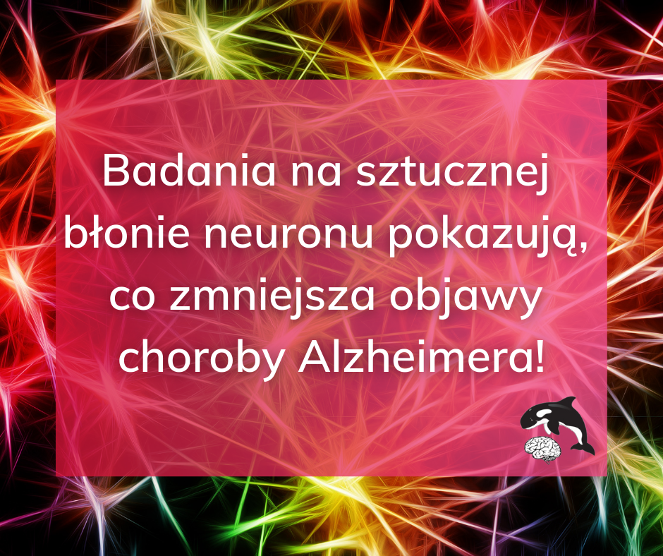 Sztuczna błona neuronu i cząsteczka K162  – nowa nadzieja na wyleczenie choroby Alzheimera