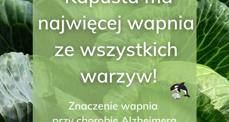 Wachania w stężeniu wapnia w organizmie mogą być odpowiedzialne za chorobę Alzheimera