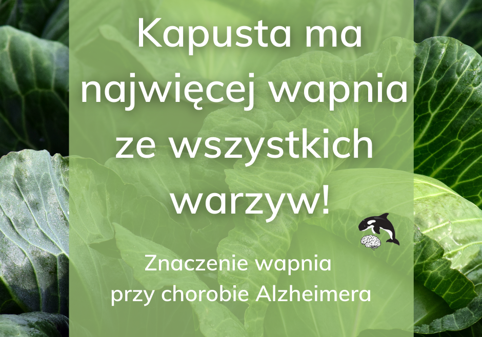 Wachania w stężeniu wapnia w organizmie mogą być odpowiedzialne za chorobę Alzheimera