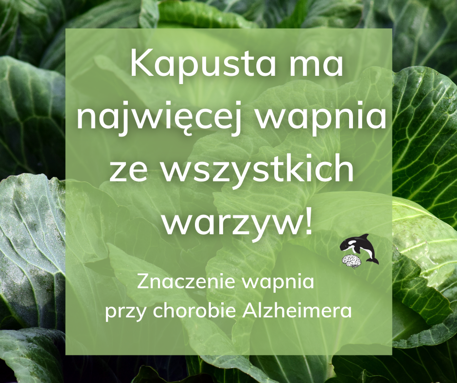 Wachania w stężeniu wapnia w organizmie mogą być odpowiedzialne za chorobę Alzheimera