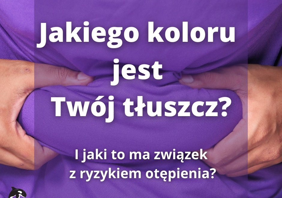 O kolorach naszego tłuszczu i ich wpływie na chorobę Alzheimera