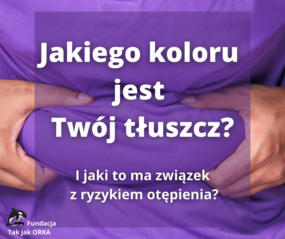 O kolorach naszego tłuszczu i ich wpływie na chorobę Alzheimera