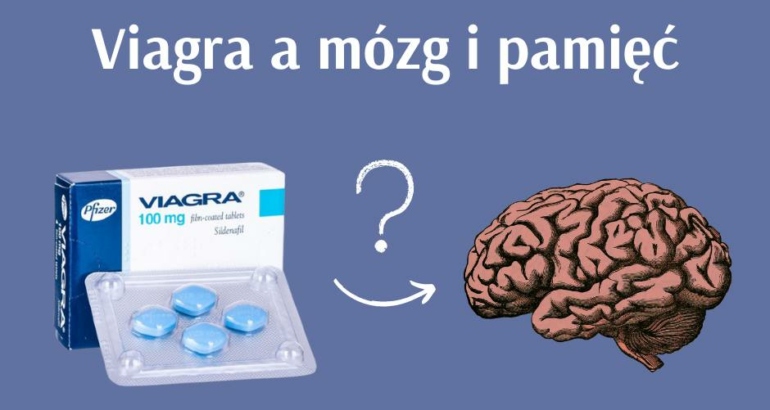 Przyjmowanie Viagry obniża ryzyko choroby Alzheimera