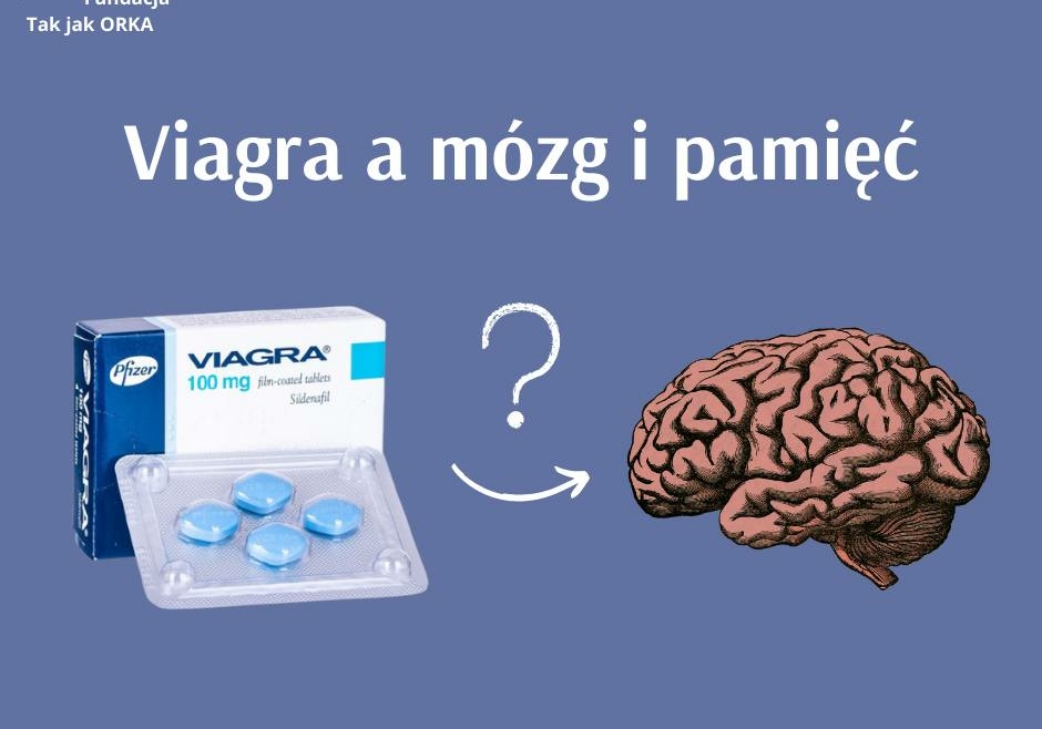 Przyjmowanie Viagry obniża ryzyko choroby Alzheimera