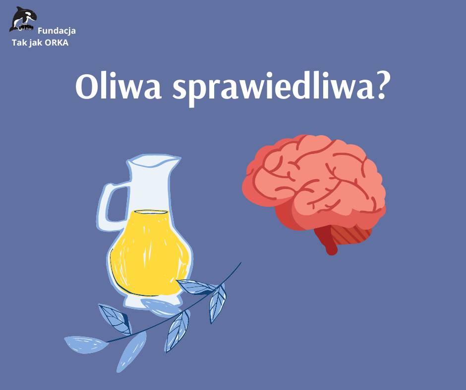 Oliwa z oliwek w obniżaniu ryzyka choroby Alzheimera